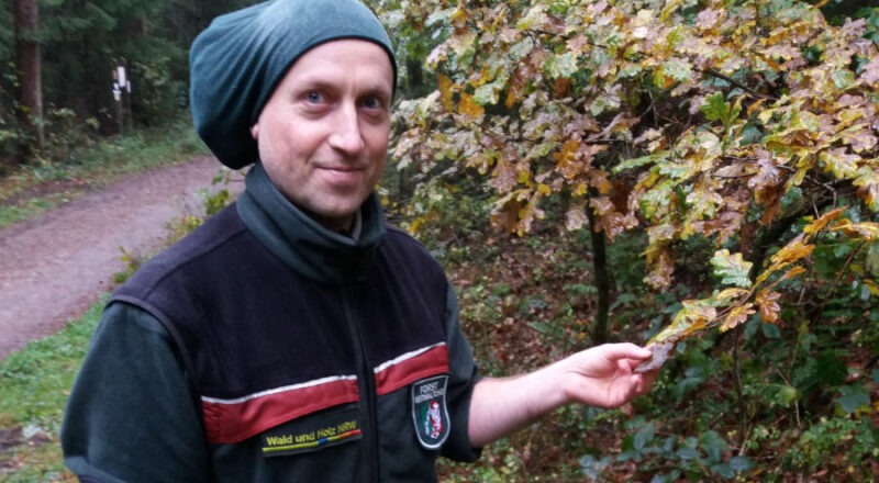 Der neue Förster Michael Schulz im Wald bei Lage; Foto: A. Uhr, Wald und Holz NRW