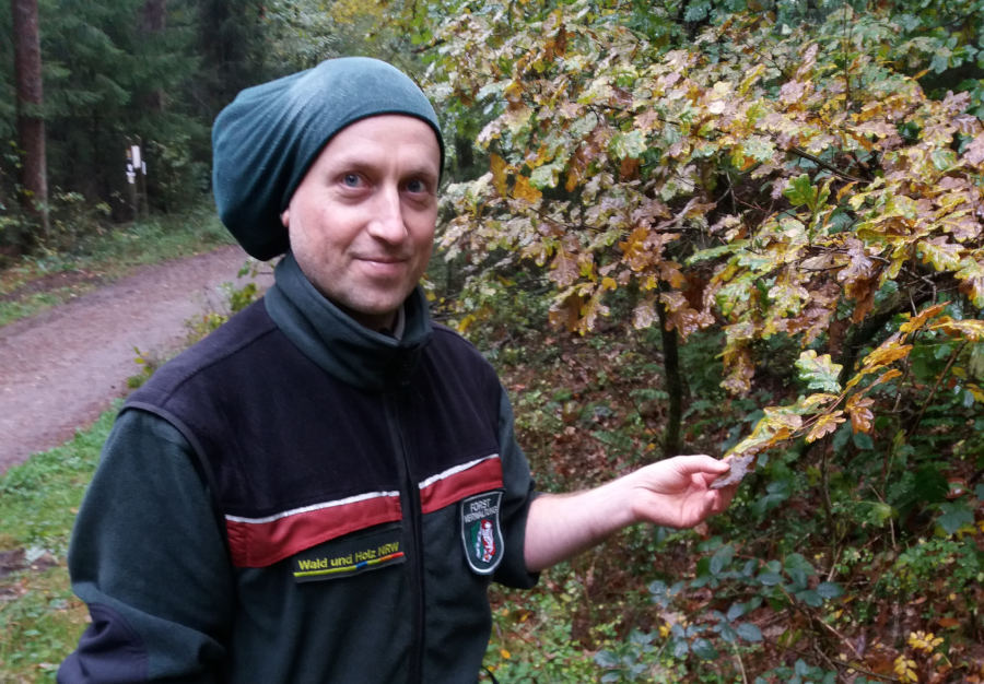 Der neue Förster Michael Schulz im Wald bei Lage; Foto: A. Uhr, Wald und Holz NRW