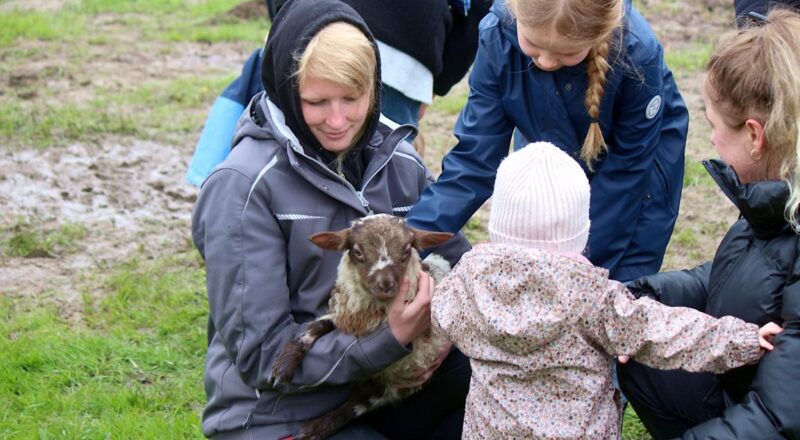 Kinder dürfen ein Lamm streicheln. Foto: Thomas Dohna