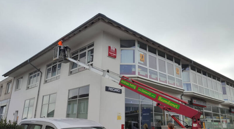 An diesem Bürogebäude an der Hauptstraße in Asemissen wurden 16 Nistkästen für Schwalben angebracht. Fotos: NABU Leopoldshöhe/Ewald Thies