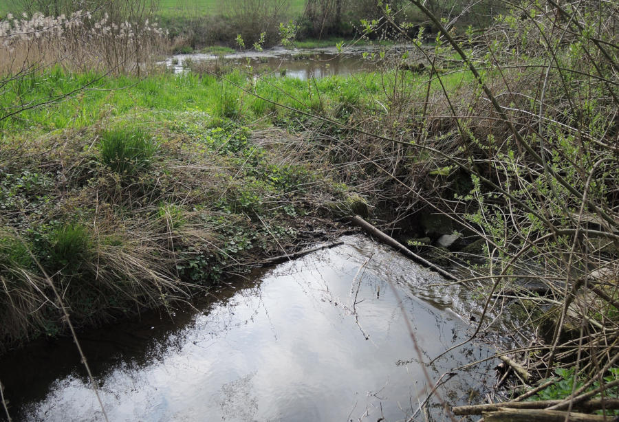 Die Wörbke in Detmold hatte der Kreis Lippe bei der Gewässerschau 2023 unter die Lupe genommen. Foto: Kreis Lippe