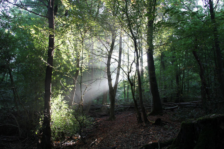 Überwältigende Natureindrücke lassen den Alltag vergessen. Foto: LVL