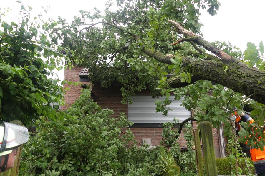 Ein Baum berührte mit seinen Ästen ein Hausdach. Foto: Freiwillige Feuerwehr Leopoldshöhe 