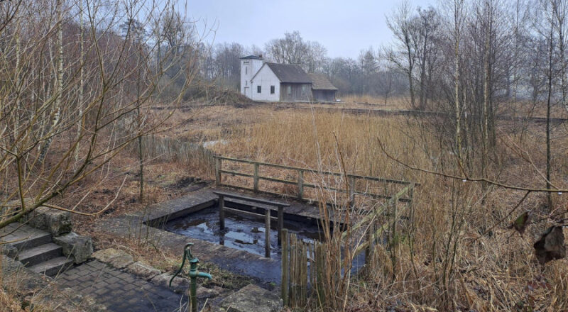 Der Gehölzschnitt am Moorstich „Stinkebrink“ in Horn-Bad Meinberg hat im Februar 2024 stattgefunden. Bis 2014 wurde das Moor - „das schwarze Gold Bad Meinbergs“ - als Heilmittel für den Kurbetrieb genutzt. Nun wird das Gelände im Rahmen des Projektes „Grüne Infrastruktur“ naturschutzfachlich gepflegt. Foto: Kreis Lippe