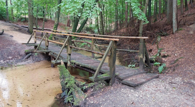 Abgängige Brücke über den Hasselbach am Wanderweg vom Hasselbachstausee zum Donoper Teich. Foto: LVL