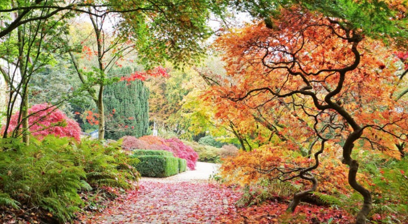 Der Botanische Garten in Bielefeld. Foto: Martin Düsterberg