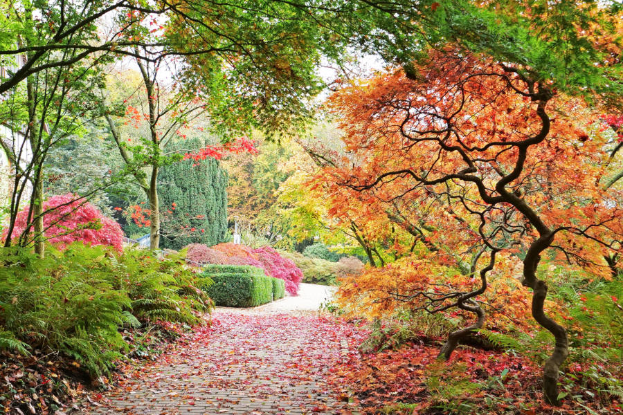 Der Botanische Garten in Bielefeld. Foto: Martin Düsterberg