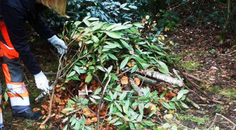 Igelburgen bieten den Wildtieren einen Unterschlupf für den Winterschlaf. Foto: Stadt Bielefeld/Umweltbetrieb