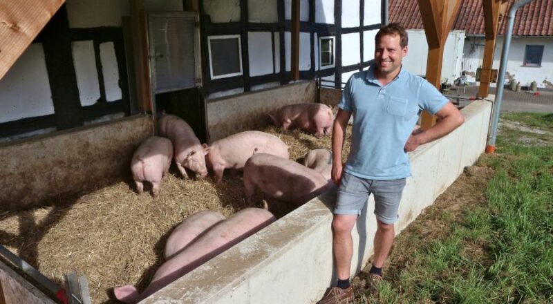 Samuel Westerheide steht am neuen Ausßenbereich seines Schweinestalles. Durch die Tür zum Innenbereich drückt sich gerade ein Schwein, während zwei nach innen wollen. Foto: Thomas Dohna