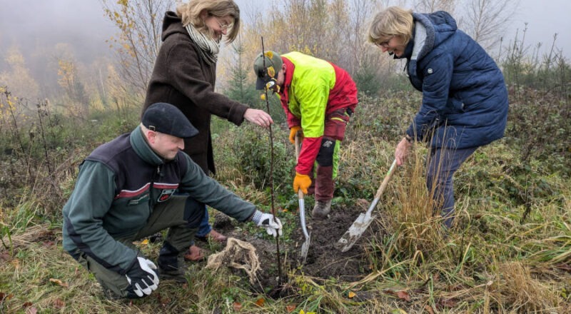 Pflanzten gemeinsam Wildobst am Kaiser-Wilhelm-Weg (von links): Volker Reihl (Leiter des Forstreviers Hiddesen, Landesverband Lippe), Dörte Pieper (Geschäftsführerin Naturpark Teutoburger Wald / Eggegebirge), Roman Elias (Forstwirt Landesverband Lippe) und Heike Hermann (Naturpark Teutoburger Wald / Eggegebirge). Foto: LVL