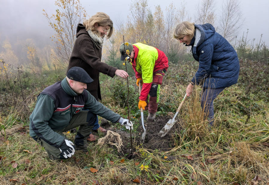 Pflanzten gemeinsam Wildobst am Kaiser-Wilhelm-Weg (von links): Volker Reihl (Leiter des Forstreviers Hiddesen, Landesverband Lippe), Dörte Pieper (Geschäftsführerin Naturpark Teutoburger Wald / Eggegebirge), Roman Elias (Forstwirt Landesverband Lippe) und Heike Hermann (Naturpark Teutoburger Wald / Eggegebirge). Foto: LVL