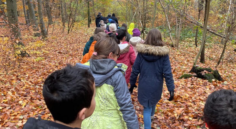 Die Kinder der GS Asemissen verteilten auf einer Sternwanderung ihre selbtbemalten Steine in der Natur. Foto: Privat