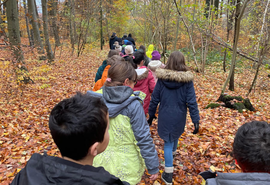 Die Kinder der GS Asemissen verteilten auf einer Sternwanderung ihre selbtbemalten Steine in der Natur. Foto: Privat