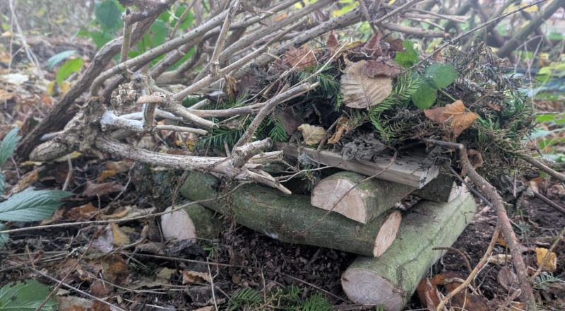 Eine Igelburg im Garten bietet den Igeln Unterschlupf für den Winterschlaf. Foto: Gemeinde Leopoldshöhe