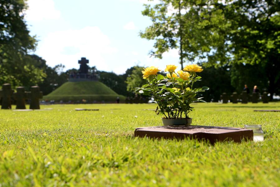 Ein geschmücktes Grab auf dem deutschen Soldatenfriedhof La Combe. Nicht weit von diesem Grab pflegen Rechtsextremisten eine Kultstätte an einem Grab eines SS-Mannes. Foto: Thomas Dohna