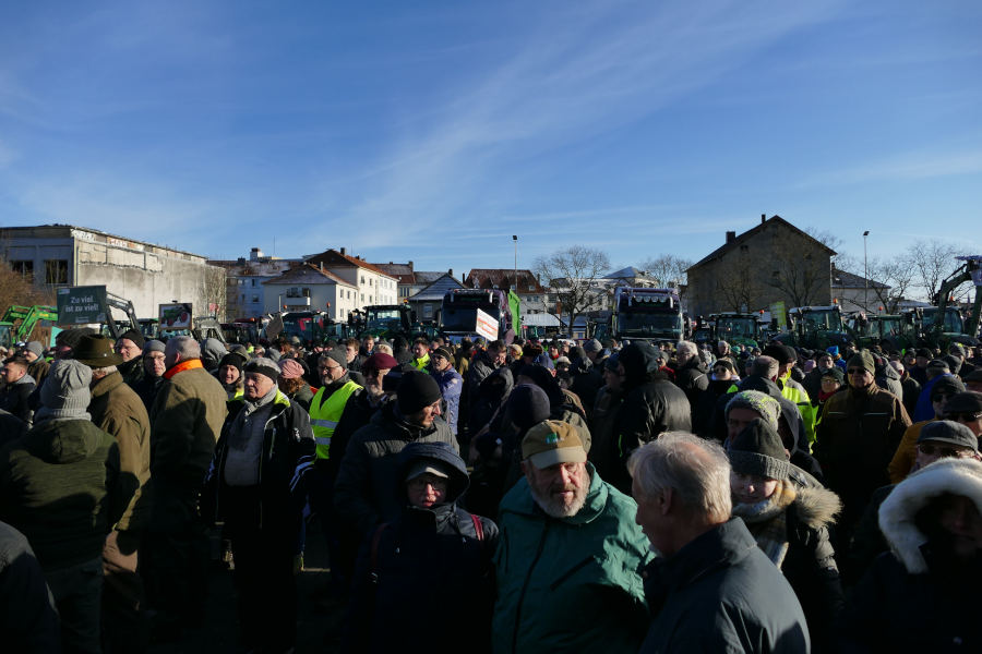 Eine Demo fand im Januar auch auf dem Kronenplatz in Detmold statt. Nicht nur Landwirte, auch andere Branchen waren vertreten. Foto: WLV