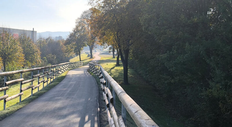 Blick über einen Breich der ausgewiesenen Allee an der Alttrasse der B66. Foto: NABU Leopoldshöhe/Ewald Thies