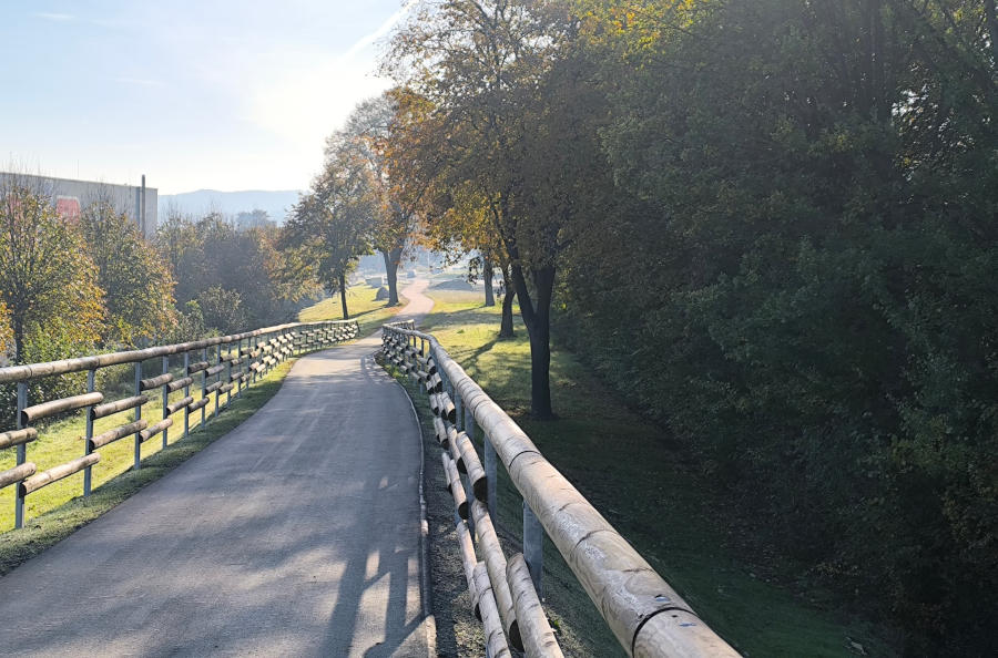 Blick über einen Breich der ausgewiesenen Allee an der Alttrasse der B66. Foto: NABU Leopoldshöhe/Ewald Thies