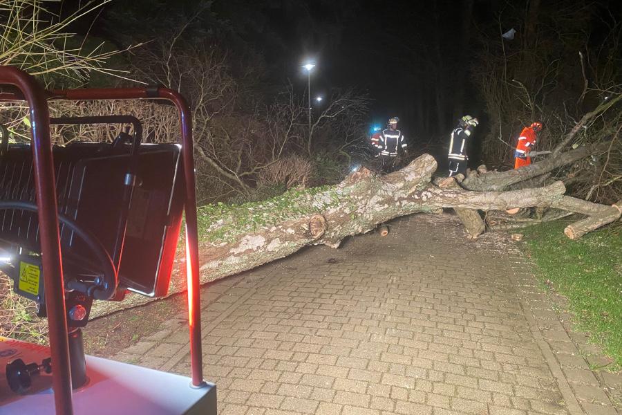 Am Rathaus ist in der Nacht zu Dienstag, 7. Januar 2025, ein Baum auf eine Feuerwehrzufahrt gefallen. Die Feuerwehr beseitigte die Gefahr. Foto: Freiwillige Feuerwehr Leopoldshöhe