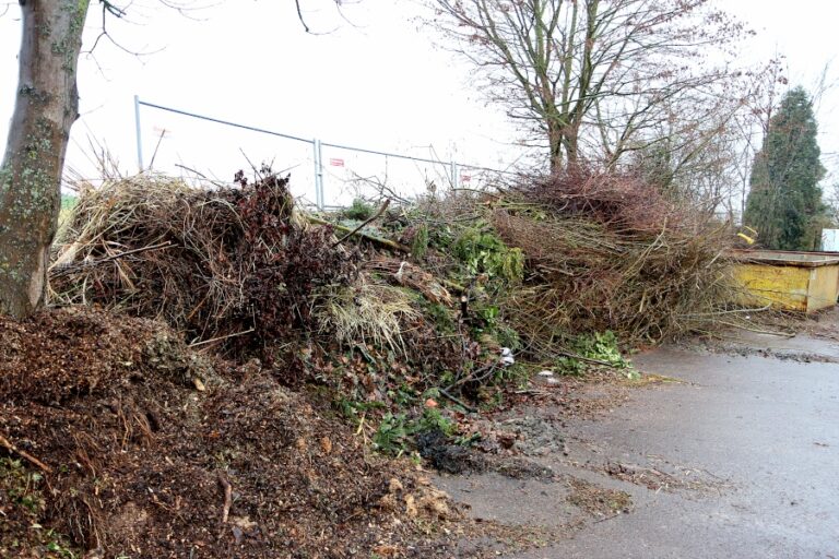 Bauhof Gruenschnitt 768x512