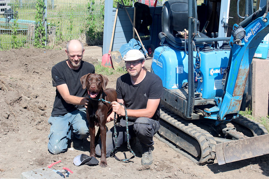 Björn Schakat, stellvertretender Vorsitzender des Tierschutzvereins, und Jan-Hendrik Drews, ehrenamtlicher Helfer, tatkräftig unterstützt von Pepe, Ridgeback-/Deutsch-Drahthaar-Mix, bereiten einen Teil des Tierheim-Geländes vor, um es auch für das Jubiläumsfest nutzbar zu machen