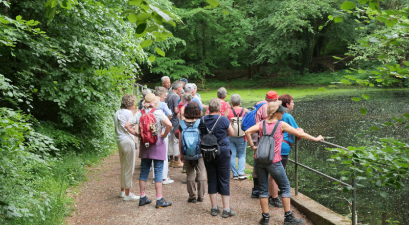 Die Wandergruppe macht einen Stopp am Hinnaksteich. Wenig später wird das Wasser abgelassen. Foto: Martin Düsterberg