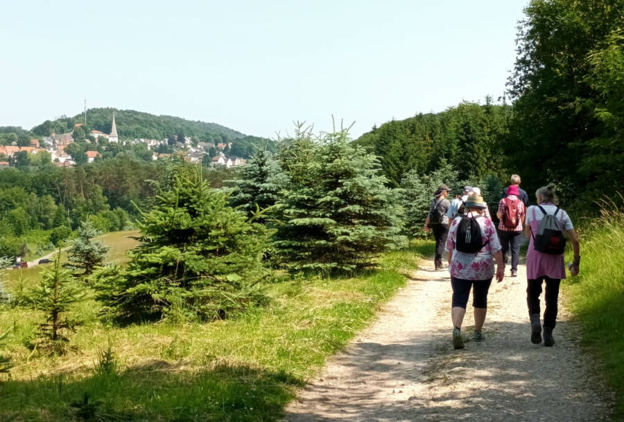 Auf der jüngsten Wanderung ging es durchs Schopketal zum Haus Neuland. Foto: Heimatverein Leopoldshöhe