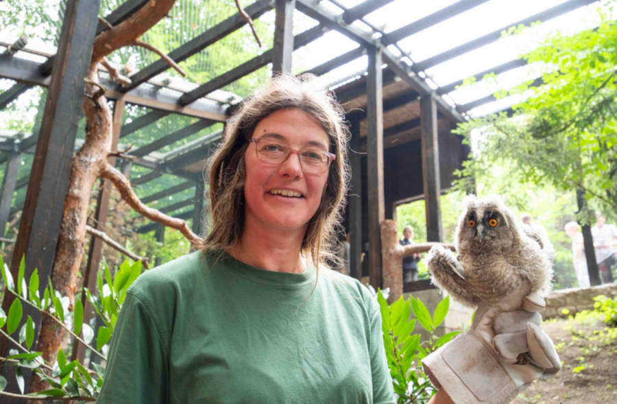 Tierpflegerin Andrea Guennemann mit einer jungen Waldohreule, die vor kurzem in der Greifvogelauffangstation in Olderdissen aufgenommen wurde und perspektivisch wieder ausgewildert wird. Foto: Umweltbetrieb / Stadt Bielefeld