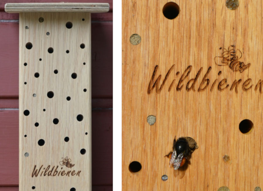 Wildbienenquartier mit einer ganzen Reihe genutzten Nisthöhlen. Foto: BUND Lemgo