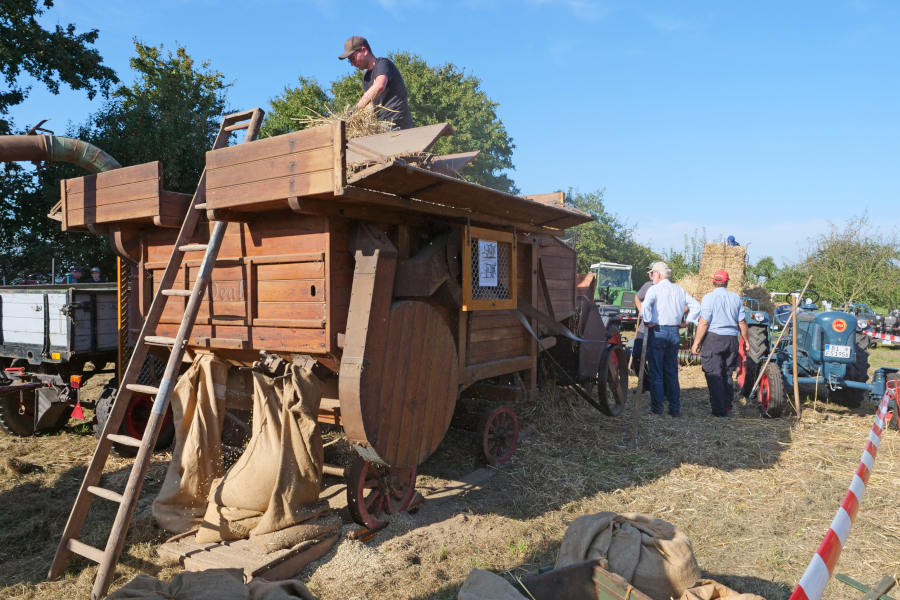 Beim Kartoffel- und Dreschfest wird die alte Dreschmaschine in Gang geworfen. Foto: Heimatverein Leopoldshöhe