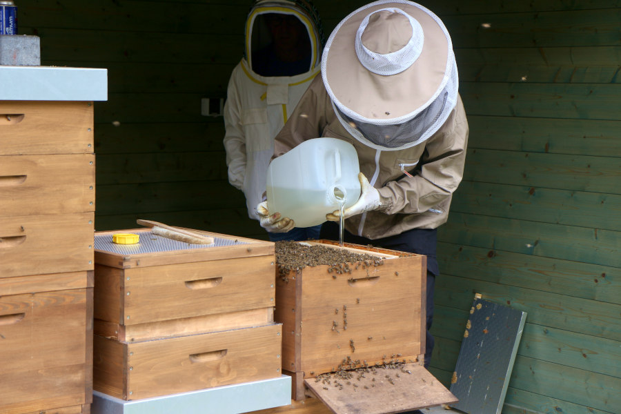 Guido Letmathe gießt Nährflüssigkeit in den Bienenstock, von dem sich die Bienen über den Winter hin ernähren. Foto: Thomas Dohna