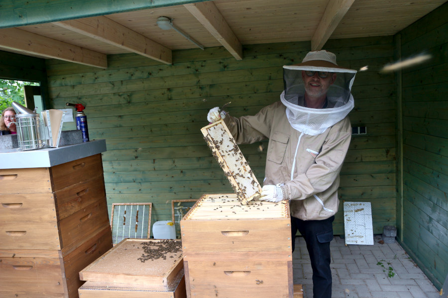 Guido Letmathe zeigt ein Rähmchen, in dem die Bienen ihre Waben bauen. Foto: Thomas Dohna
