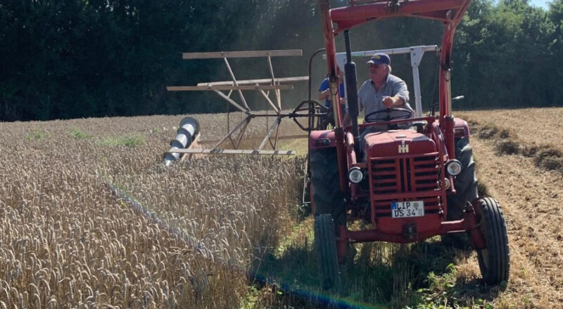 Dieter Sieweke steuert seinen IHC-Traktor, an dem ein historischer Mähbinder angehängt ist. Foto: Treckerfreunde