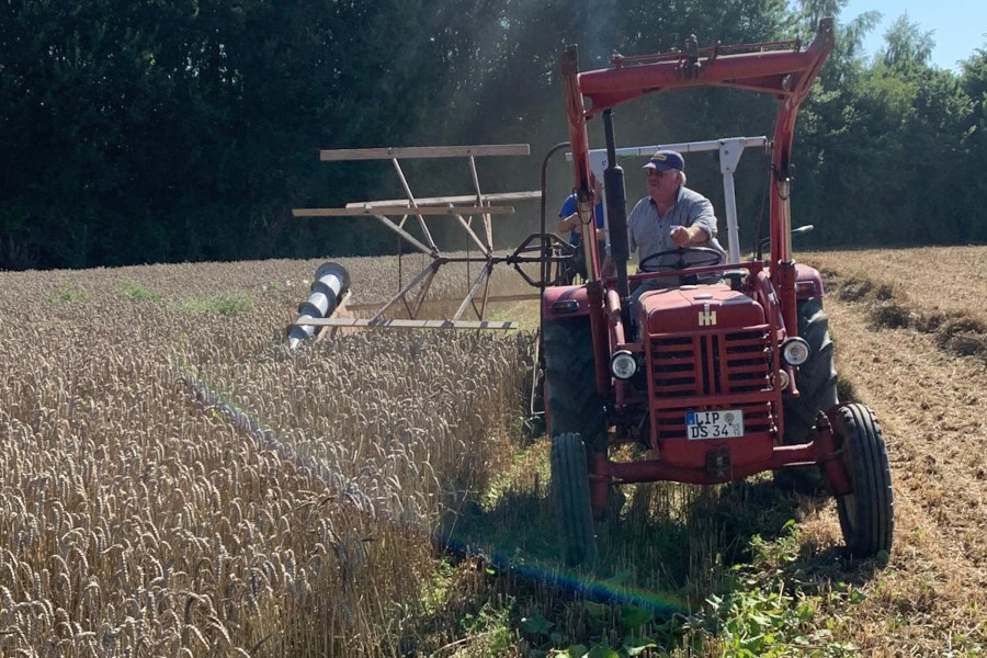 Dieter Sieweke steuert seinen IHC-Traktor, an dem ein historischer Mähbinder angehängt ist. Foto: Treckerfreunde