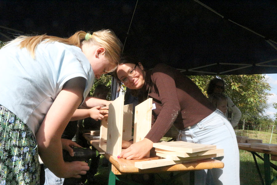 Tischlerin Michelle Freund vom Bauhof Leopoldshöhe (rechts) bot Nistkästen zum selbst Zusammenbauen an. Foto: Thomas Dohna