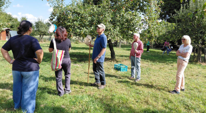 Bei strahlendem Wetter sondieren die Selbstpflücker und Selbstpflückerinnen die Obstlage an den Bäumen. Foto: Heimatverein Leopoldshöhe.
