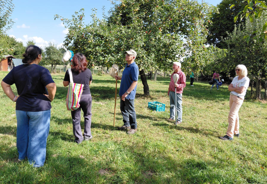 Bei strahlendem Wetter sondieren die Selbstpflücker und Selbstpflückerinnen die Obstlage an den Bäumen. Foto: Heimatverein Leopoldshöhe.