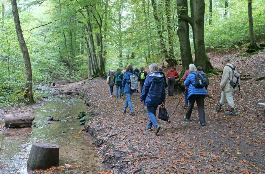 Die diesjährige Abschlusswanderung des He…</p><div class=