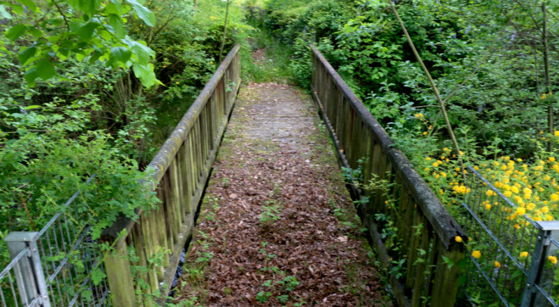 Die Brücke über das Regenrückhaltebecken am Schulkreisel darf seit vielen Jahren nicht mehr betreten werden. Archivfoto: Thomas Dohna