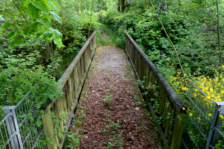 Die Brücke über das Regenrückhaltebecken am Schulkreisel darf seit vielen Jahren nicht mehr betreten werden. Archivfoto: Thomas Dohna