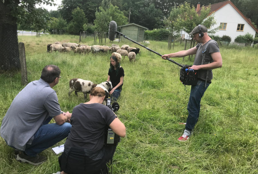 Der WDR vor Ort bei den Schafen und Schäferin Pia Völker auf dem Heimathof.