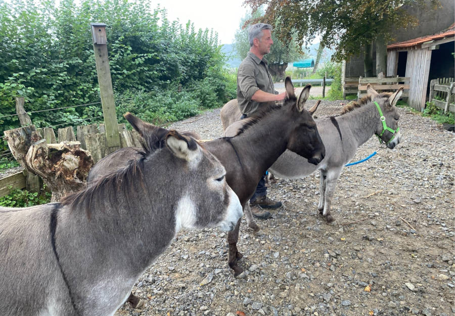 Mit Eseln wandern von November bis März. Foto: Kreis Lippe