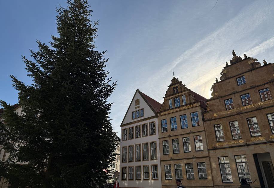 Eine Nordmanntanne ziert in diesem Jahr den Alten Markt. Foto: Stadt Bielefeld