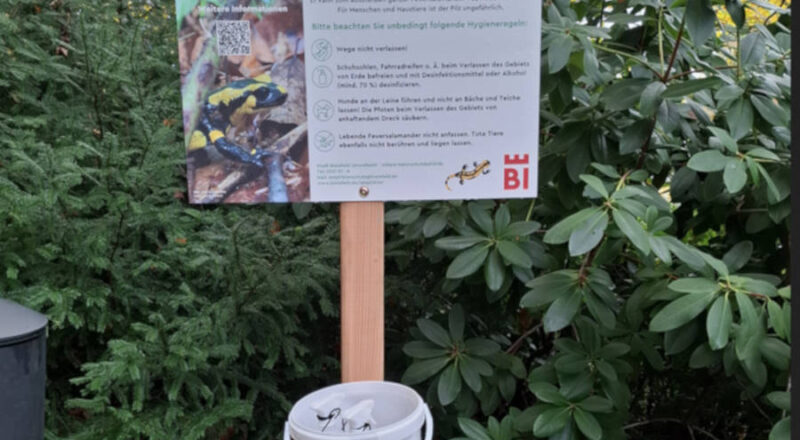 Hinweisschilder im und rund um den Botanischen Garten informieren über die Feuersalamanderpest und die Hygienemaßnahmen. Foto: Stadt Bielefeld