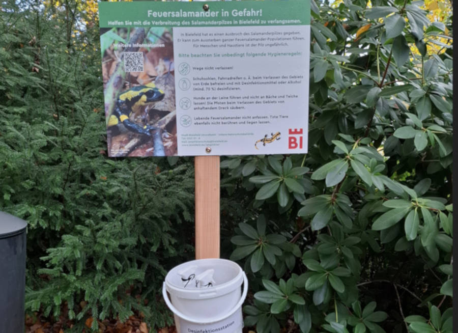 Hinweisschilder im und rund um den Botanischen Garten informieren über die Feuersalamanderpest und die Hygienemaßnahmen. Foto: Stadt Bielefeld