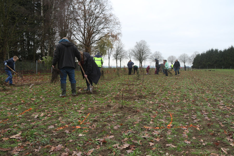 An den orangenen Kennzeichnungen vorne orientierten sich die Baumpflanzer. Foto: Thomas Dohna