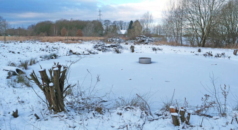 Das Klärbecken am Krähenholz ist zugefroren. Foto: Martin Düsterberg
