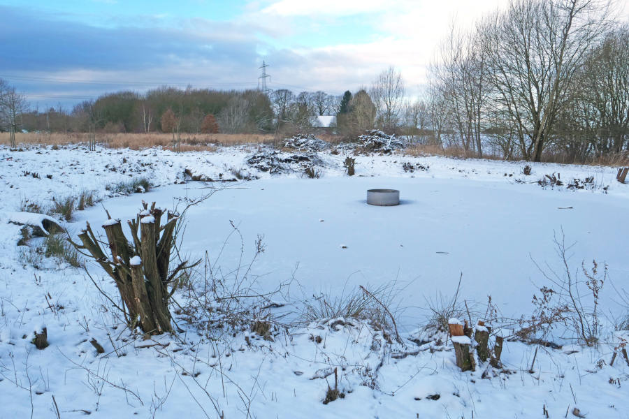 Das Klärbecken am Krähenholz ist zugefroren. Foto: Martin Düsterberg