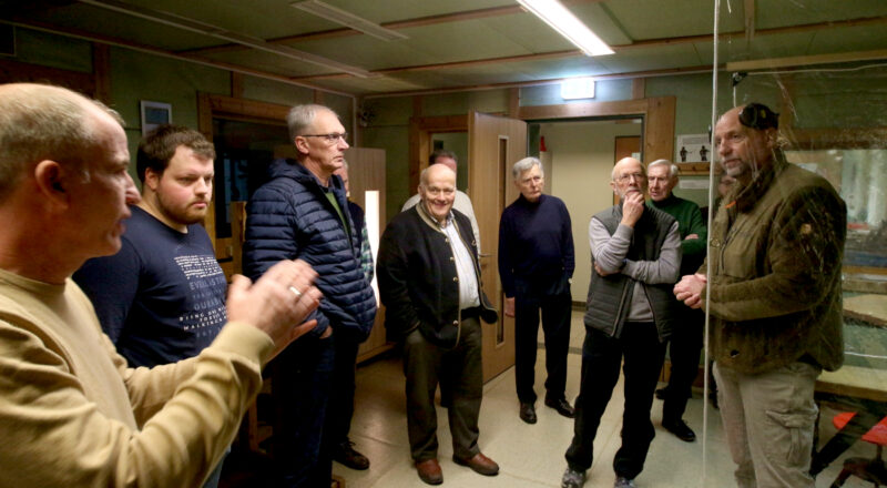 Die Sache mit dem Wolf