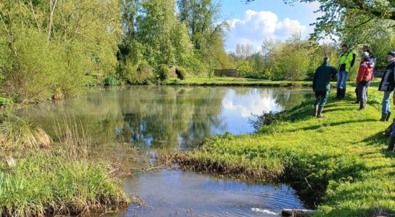 Bei der Gewässerschau 2025 wurde u.a. das Gewässer „Breites Wasser“ besichtigt. Foto: Kreis Lippe